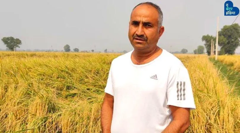 Chemical Free Organic Farming 