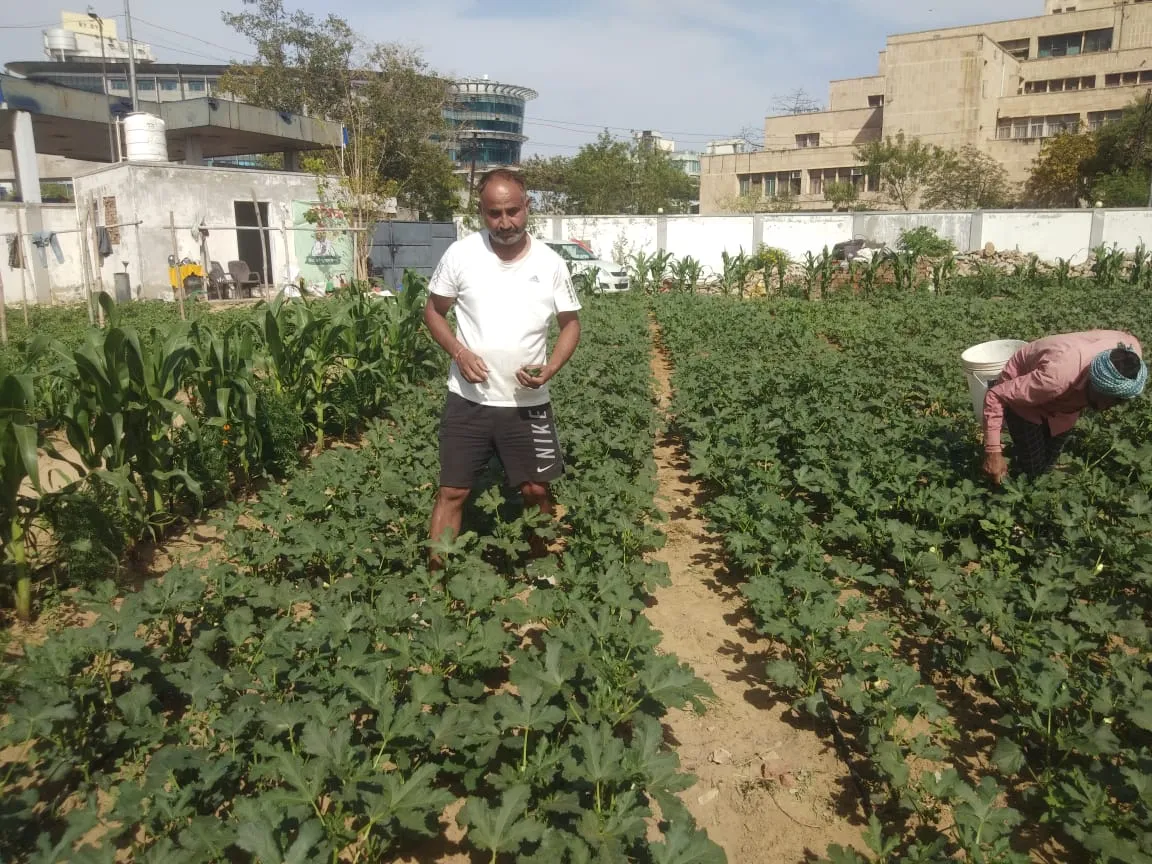Organic Farming