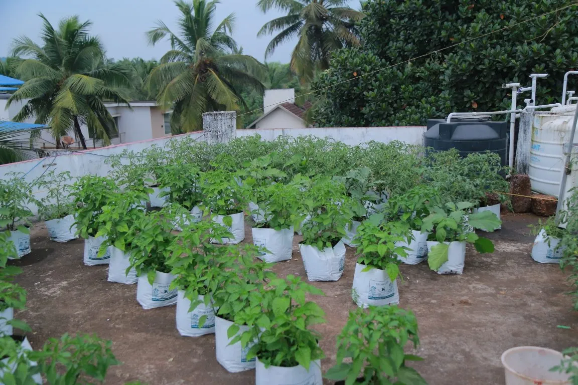 Photographer Growing Organic Vegetables