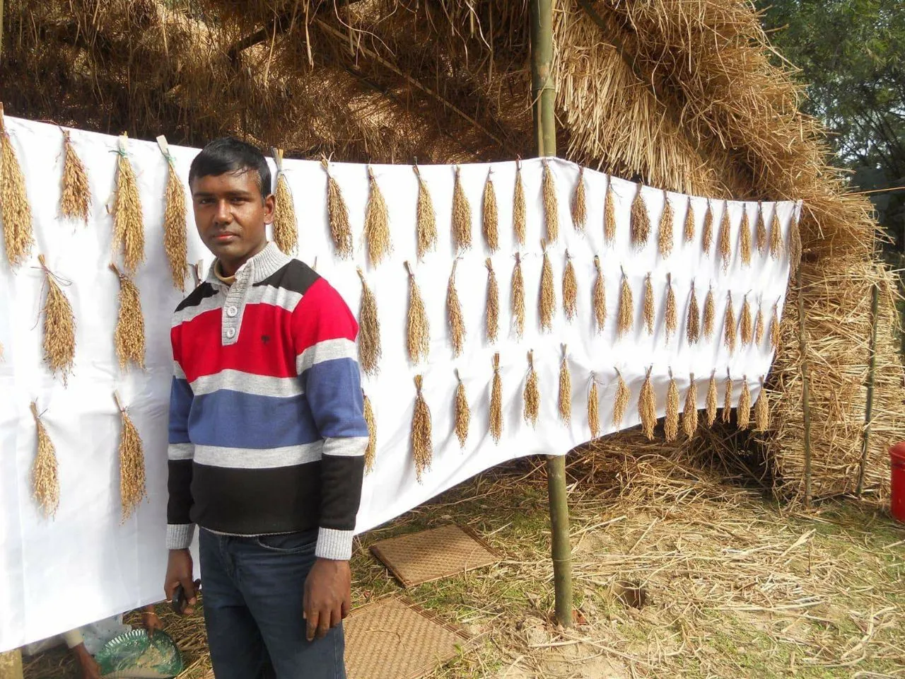 Assam Indigenous Seed Library 