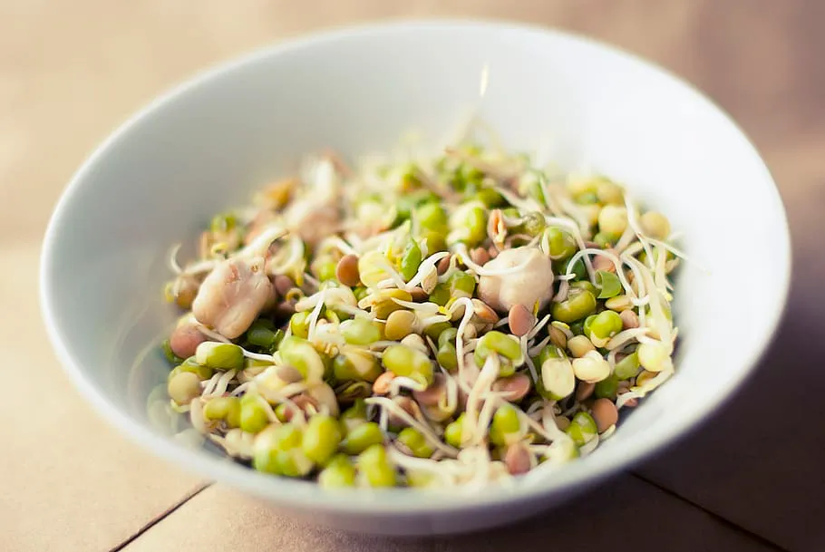 How to grow Microgreens