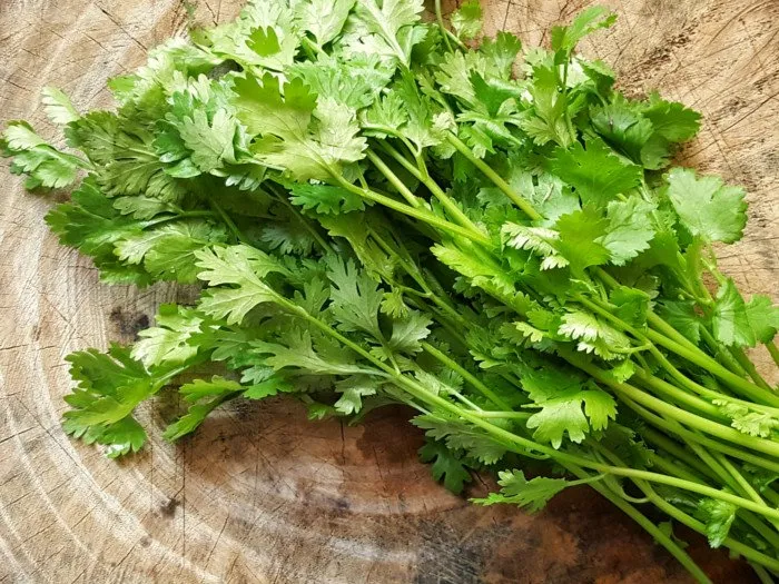 how to keep vegetables fresh
