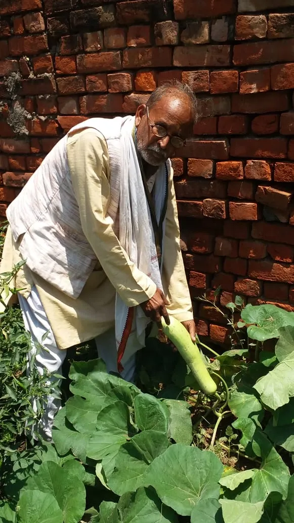 Innovative Farmers 