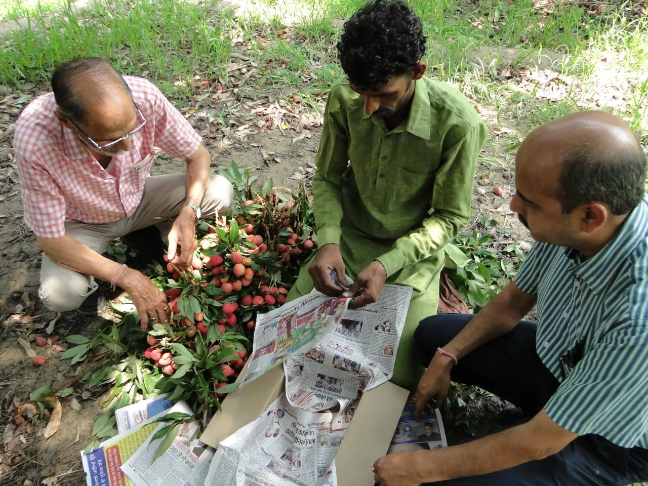 Innovative Farmers 
