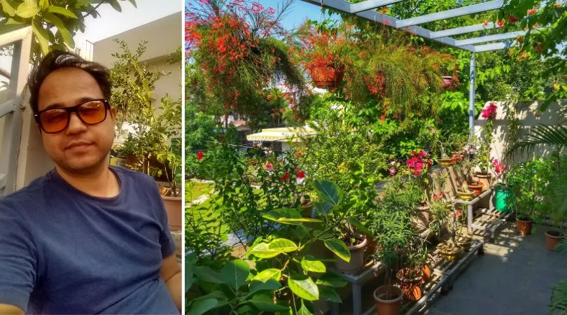 Soil Less Gardening