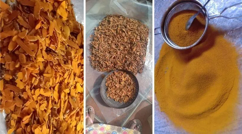 Grow Organic Turmeric