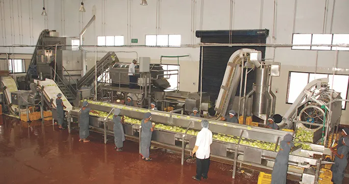 Nilon's, Best Variety of Pickles, Spices 