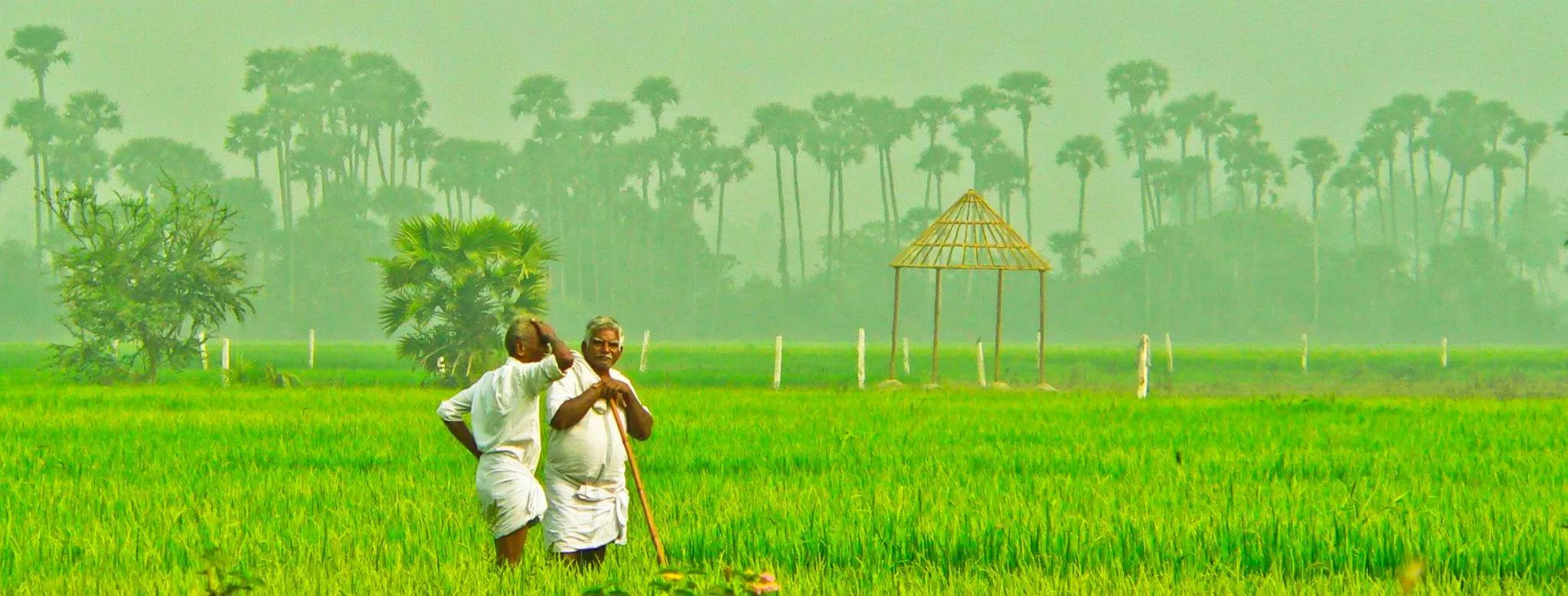 farmers