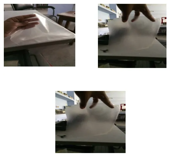 Biodegradable film developed from whey, isabgol and lotus stem starch