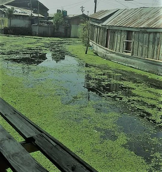 publive-image