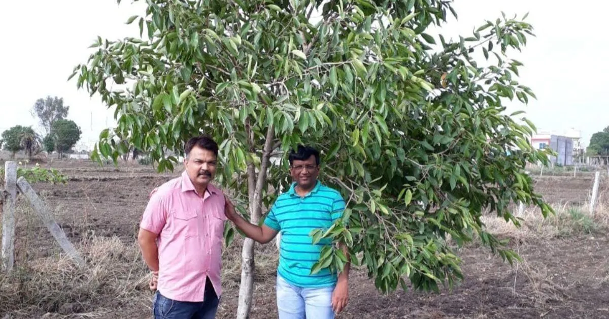 pramod jain