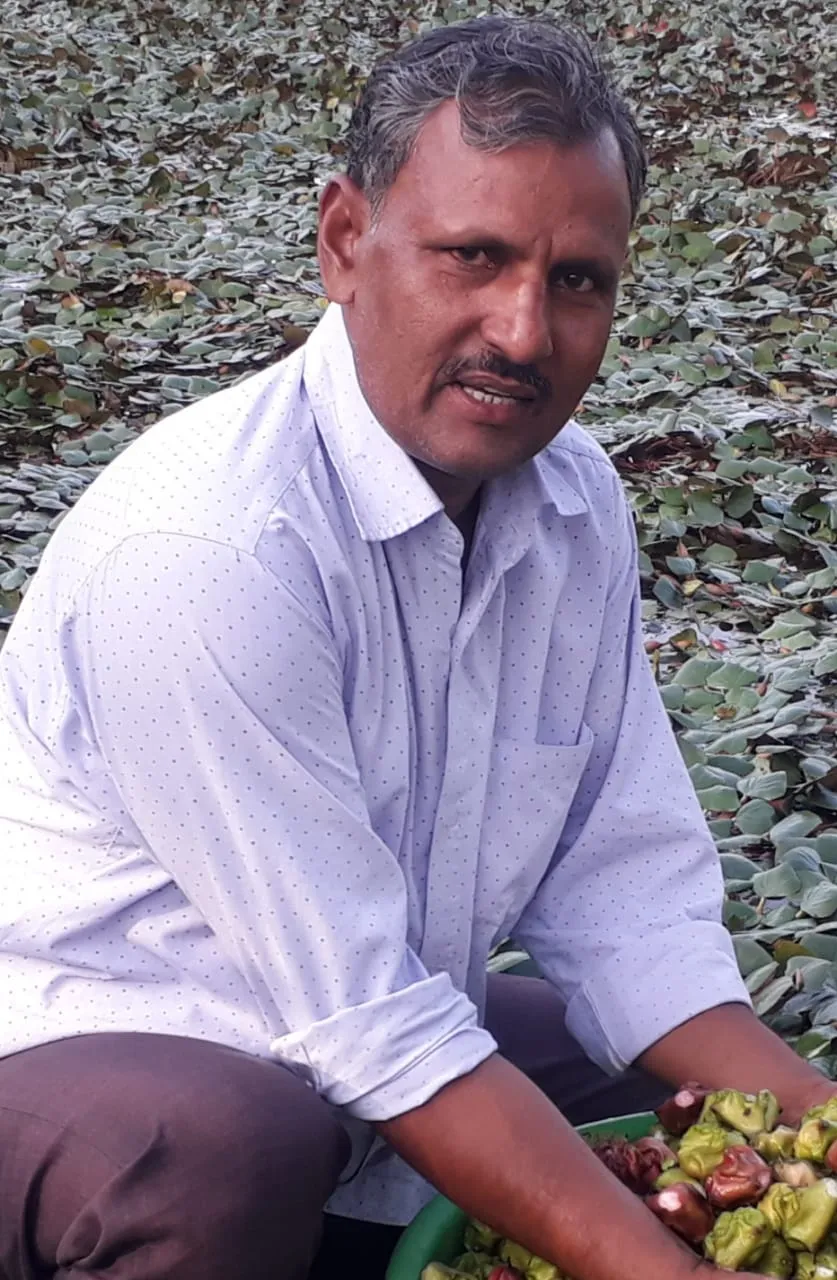 Organic Farmer 