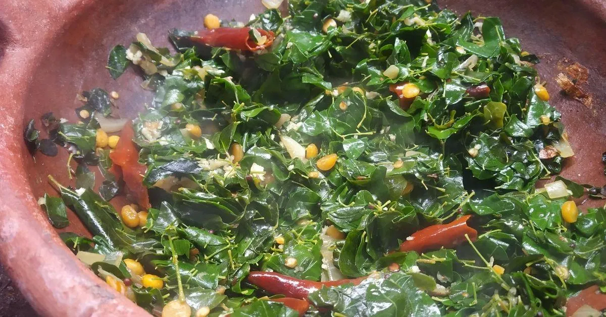 Moringa Leaves can be consumed as Saag or curry. There are many health benefits of moringa leaves.