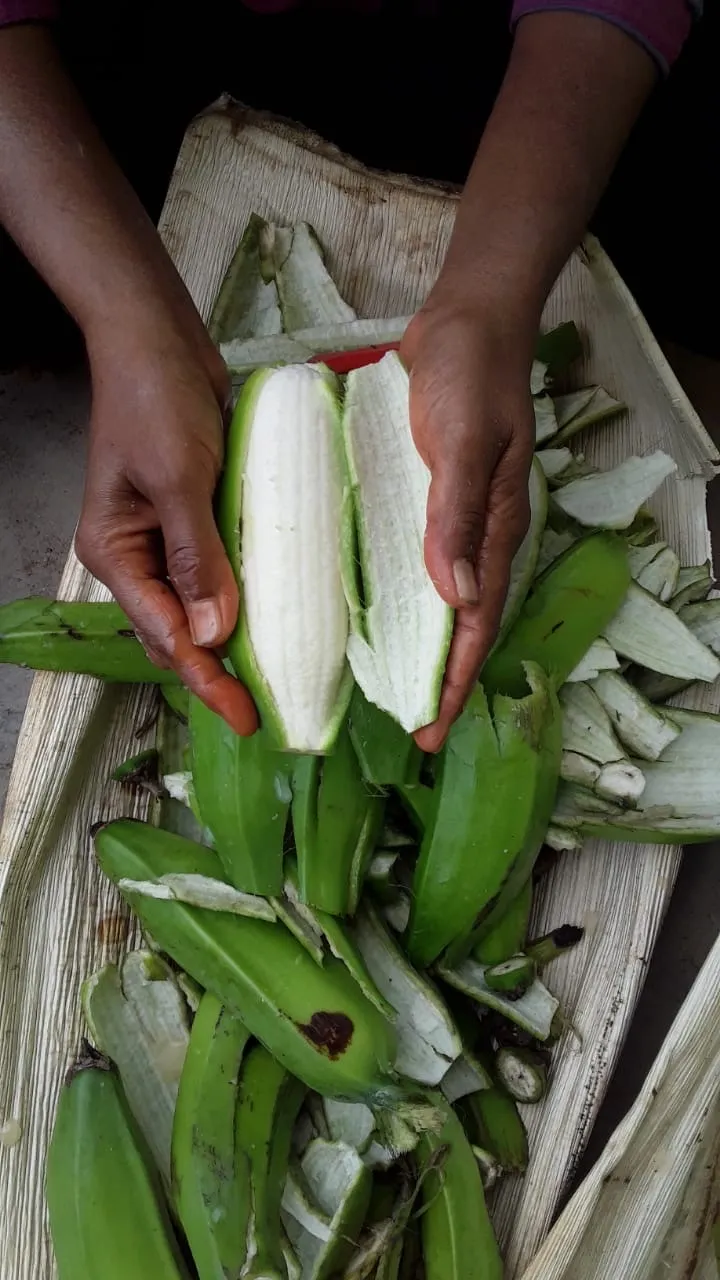Peeling bananas by hand for making flour