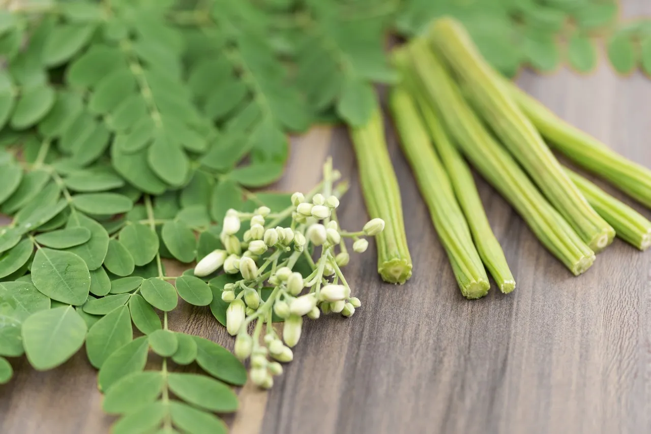 Moringa leaves for high BP. Its Leaves, flowers & Fruits all are edible.