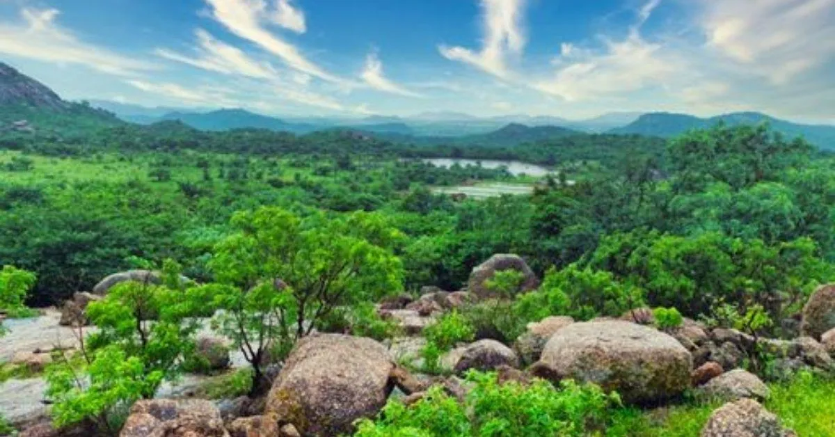 Sunith started BeForest to live in the lap of nature 