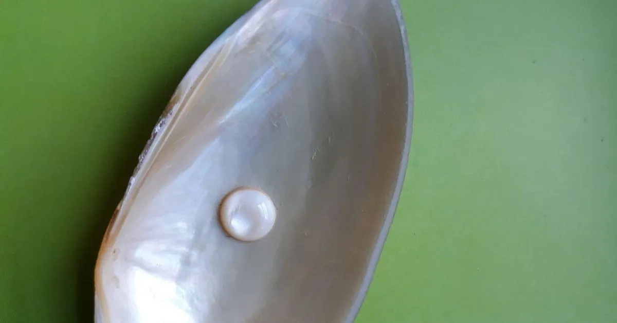 Pearl Grown By Neena Singh