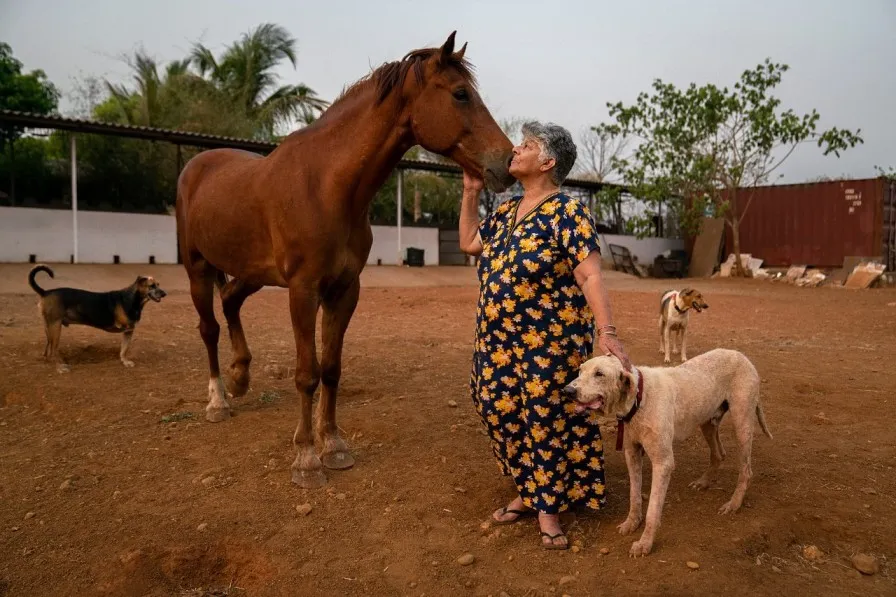 Probably Paradise: A ‘Paradise’ Created by Roxanne Davur for 431 Rescued Animals