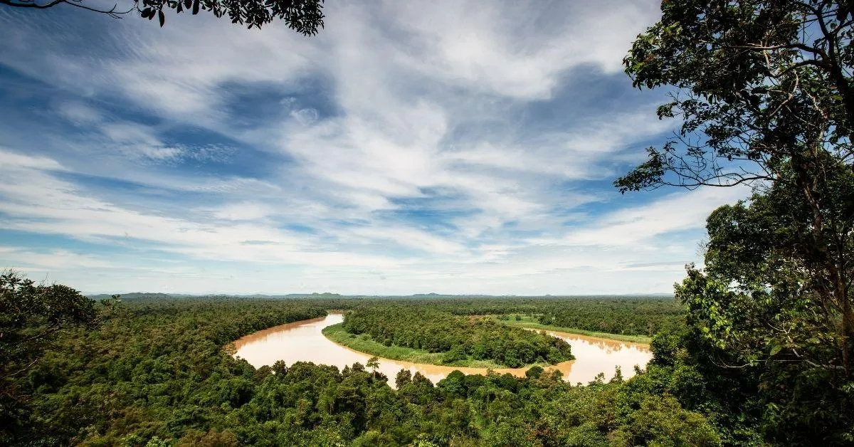A sustainable global solution of Palm oil<br />

