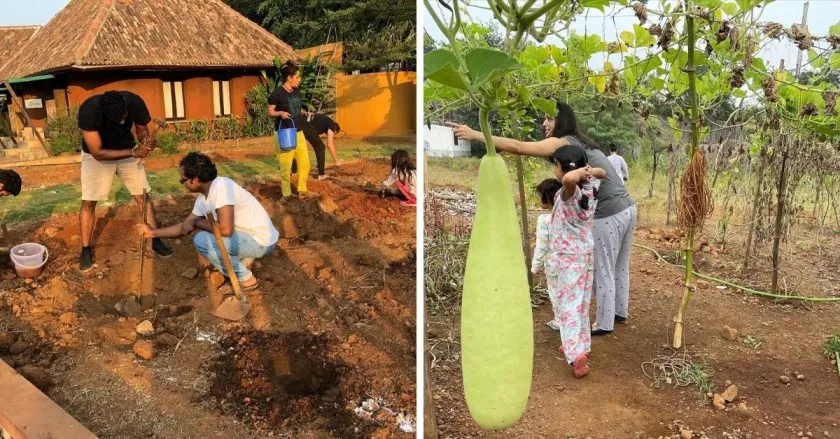 People learning Organic farming & composting 