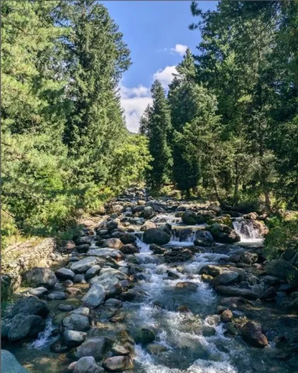  Kokernag, Jammu & Kashmir