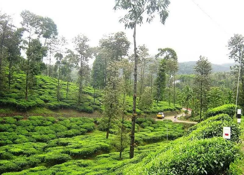 The town derives its name from a Sufi saint named Peer Mohammad, who is said to be linked with the royal family of Travancore.<br />
