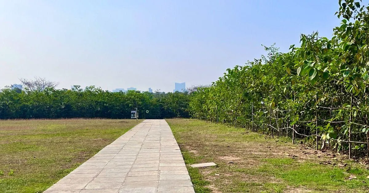 Locals can walk along the green lungs developed by NMMC<br />
