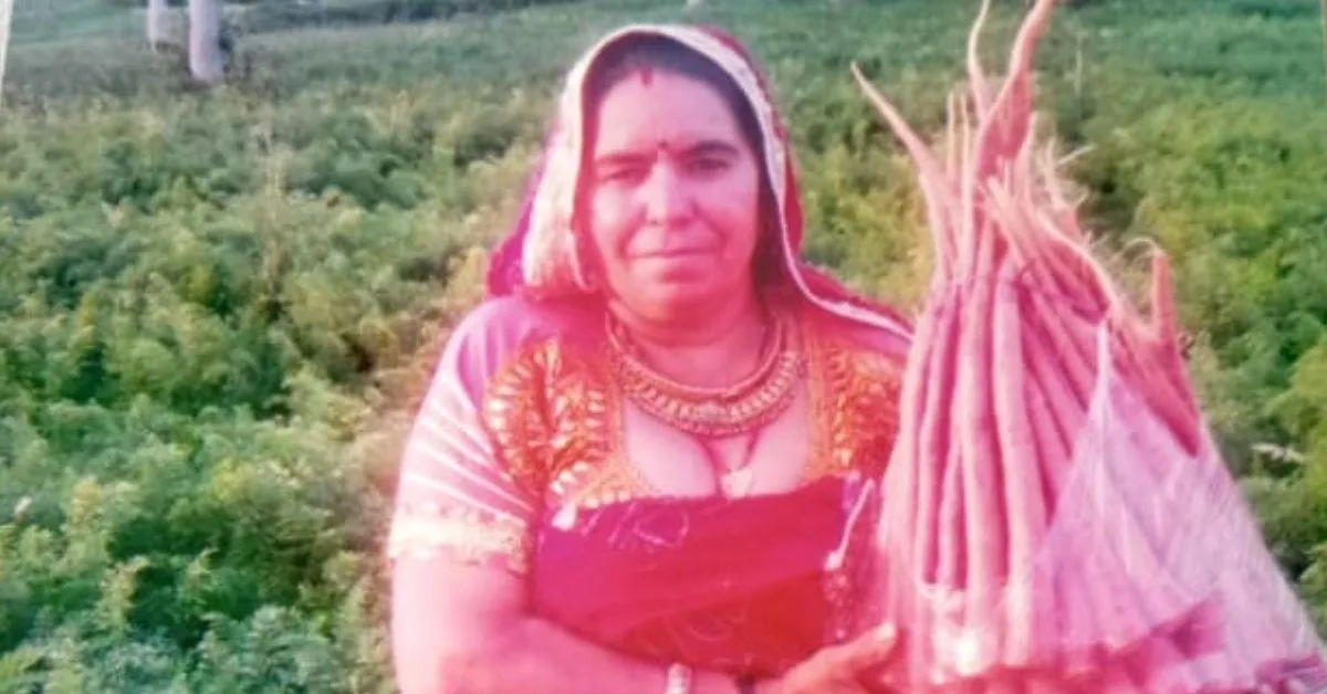 organic farming using honey & ghee