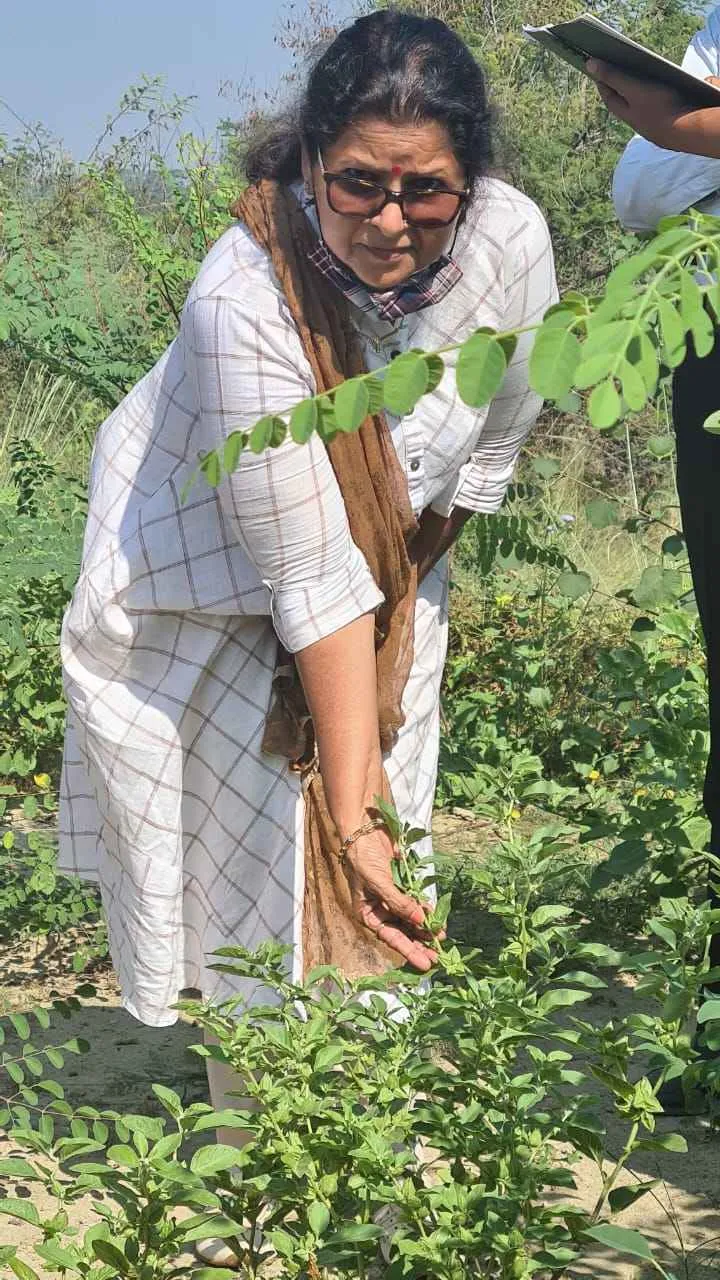 Reeva with the ashwagandha plants<br />

