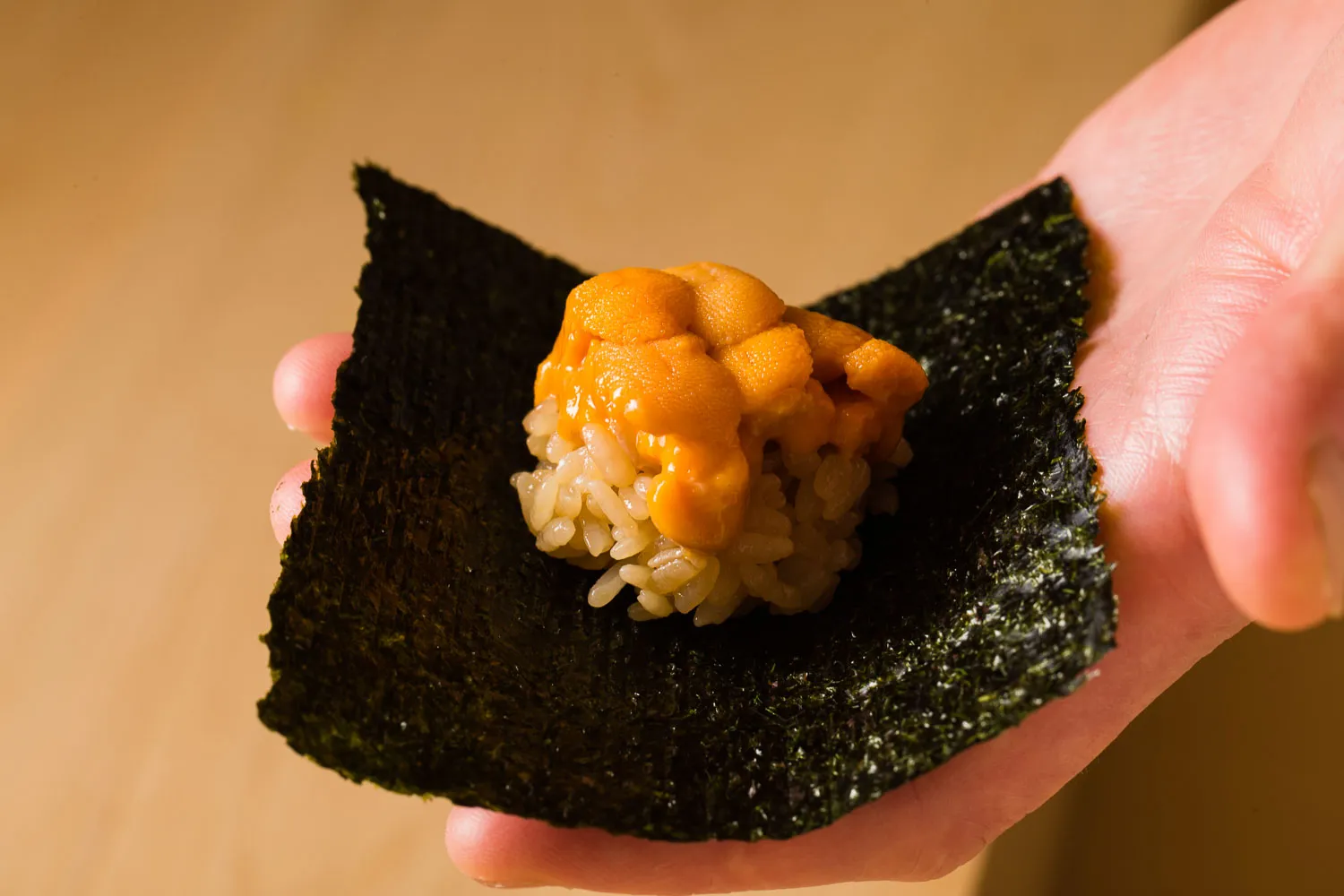 Sushi 23