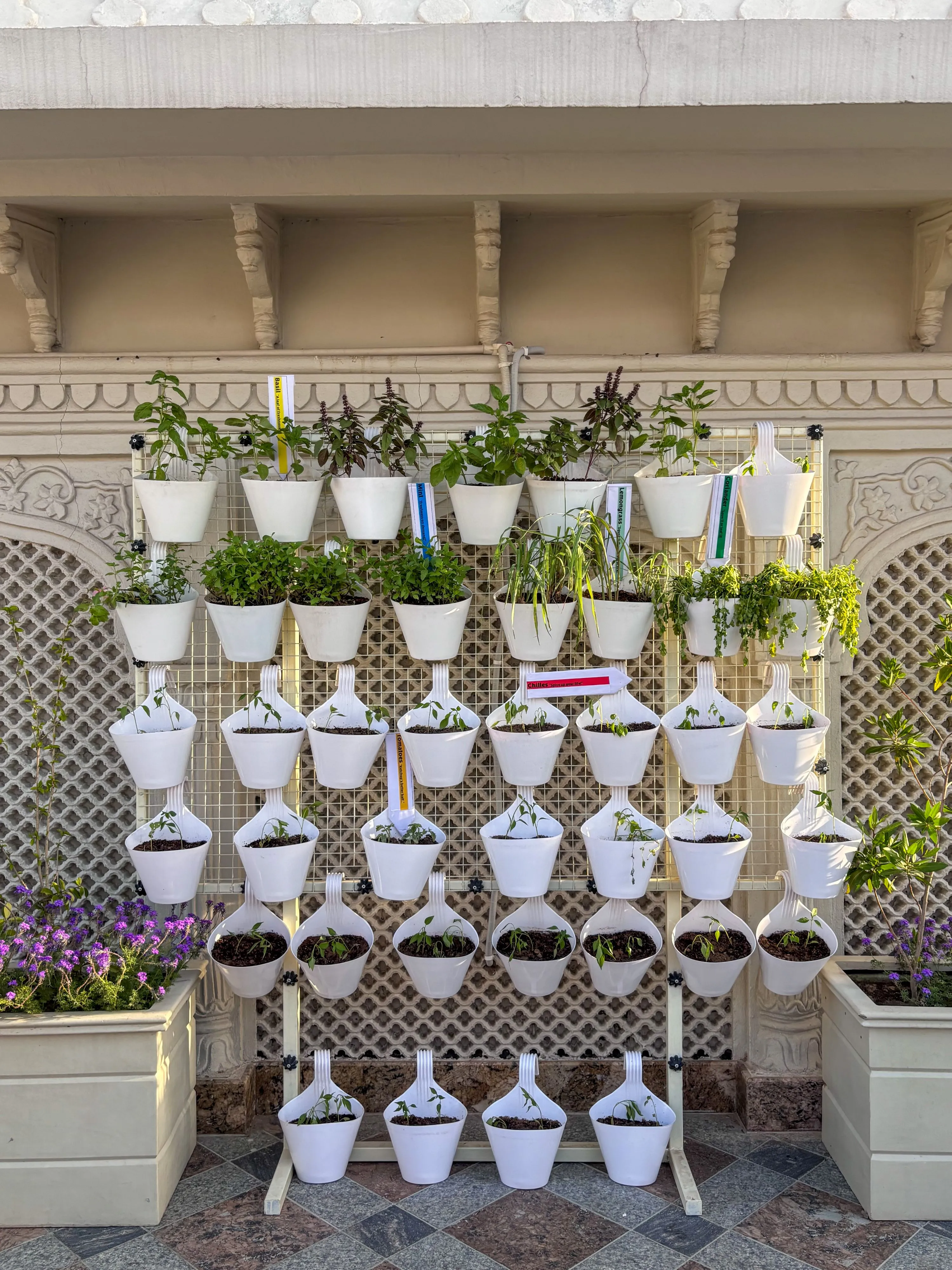 Raffles Jaipur 2