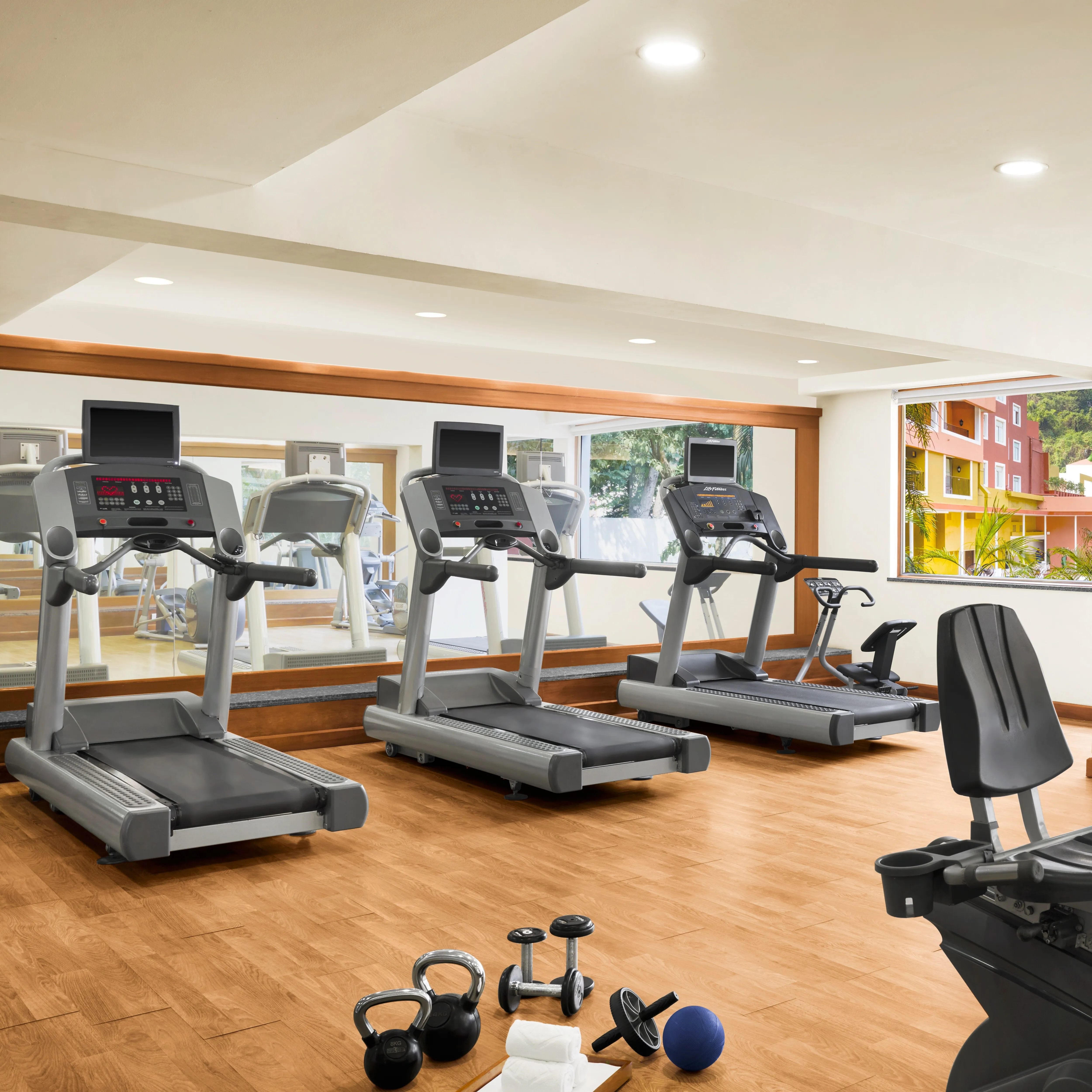 Holistic Fitness