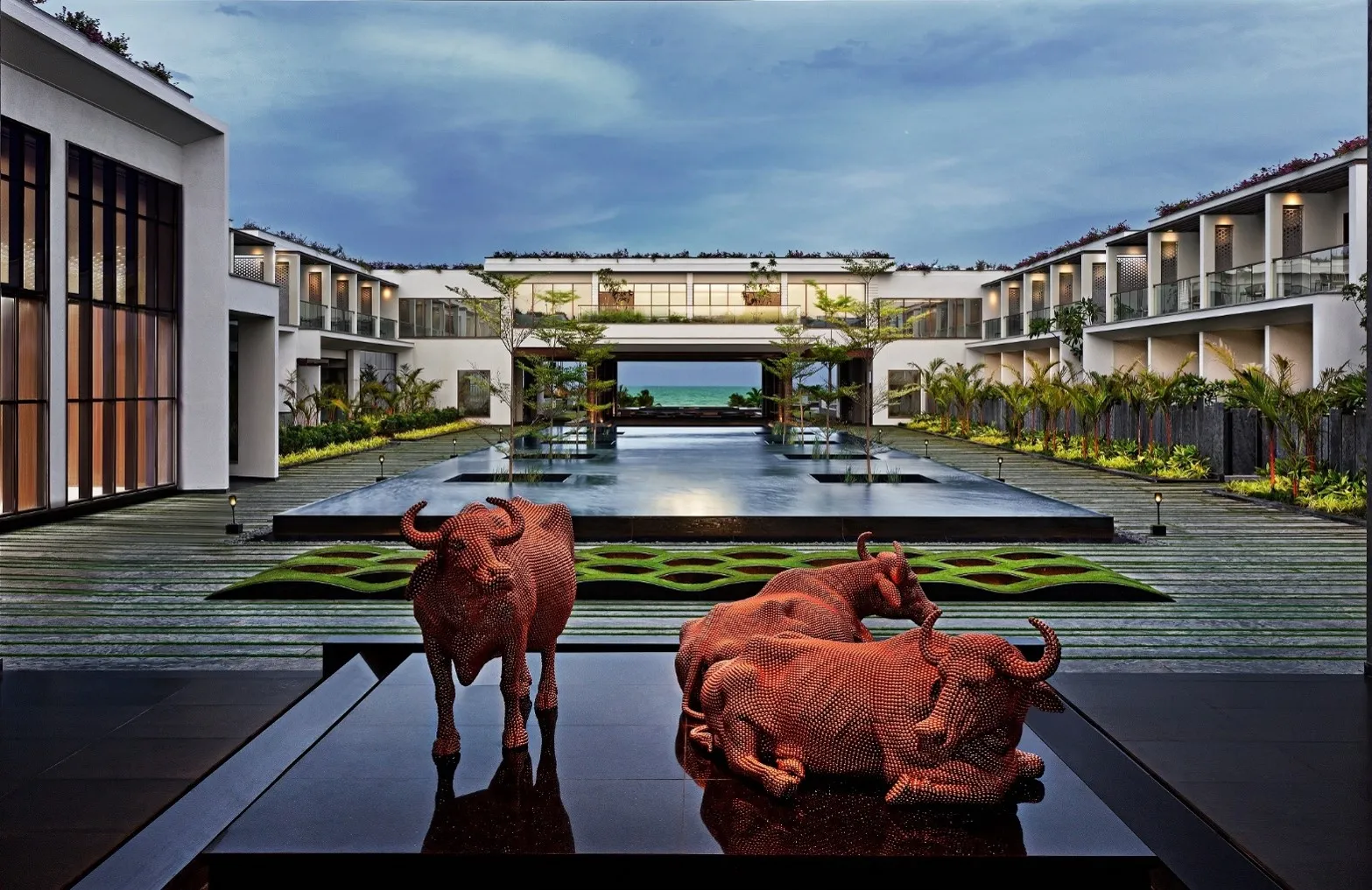 Buffalo