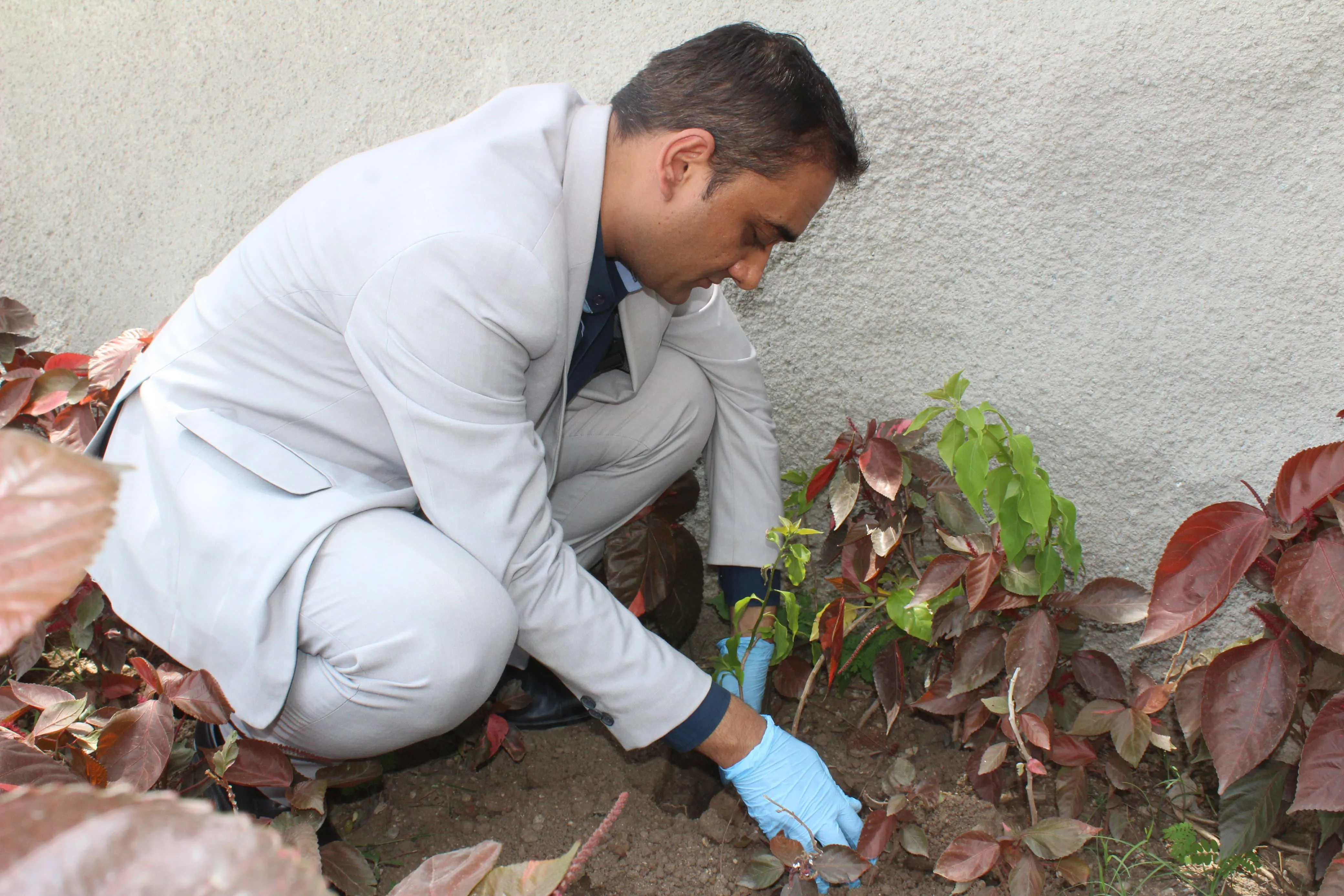 Prashant Tripathi, DOSM, Udaipur Marriott Hotel plants sampling