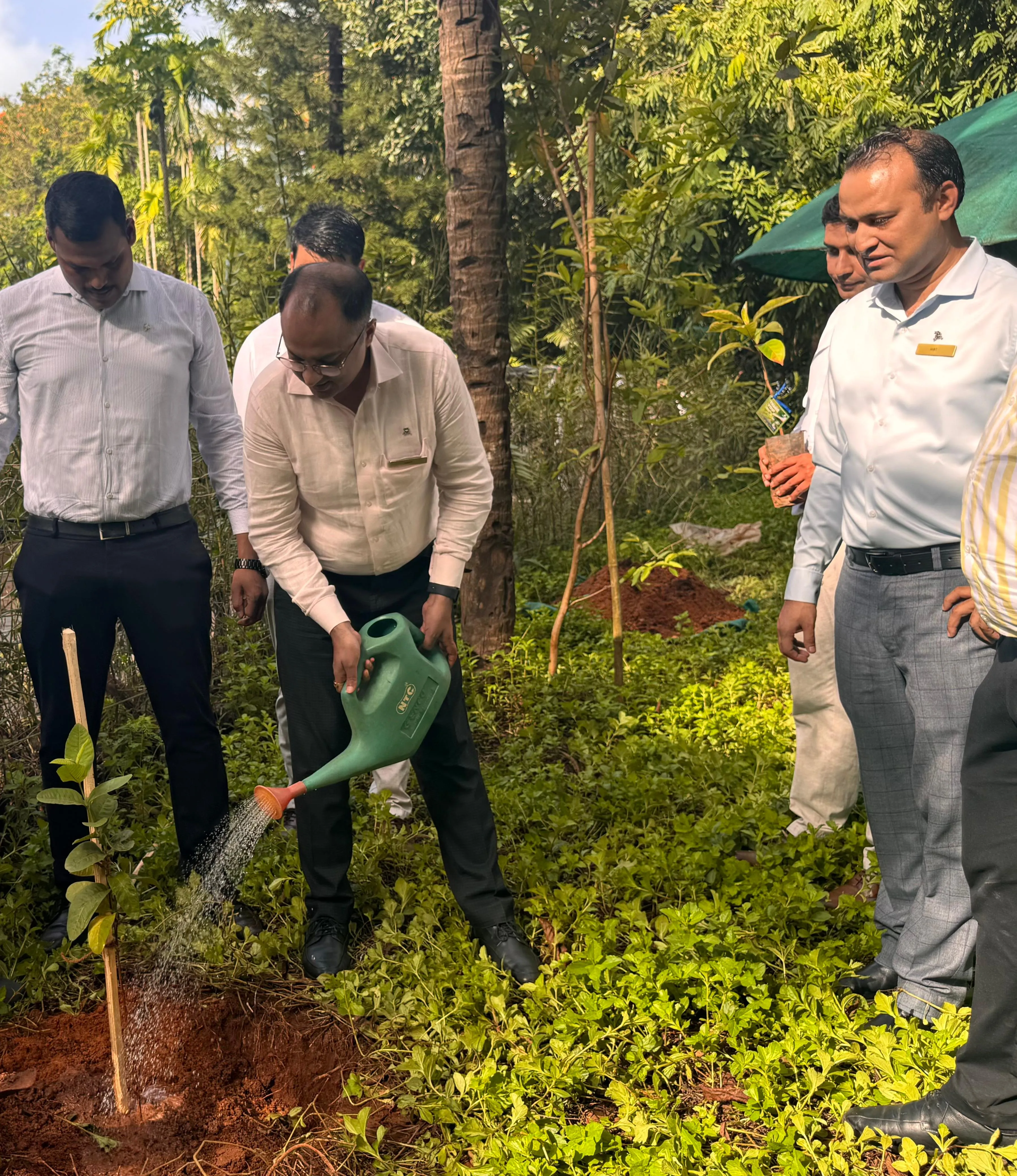 The St Regis Goa- Tree Plantation drive