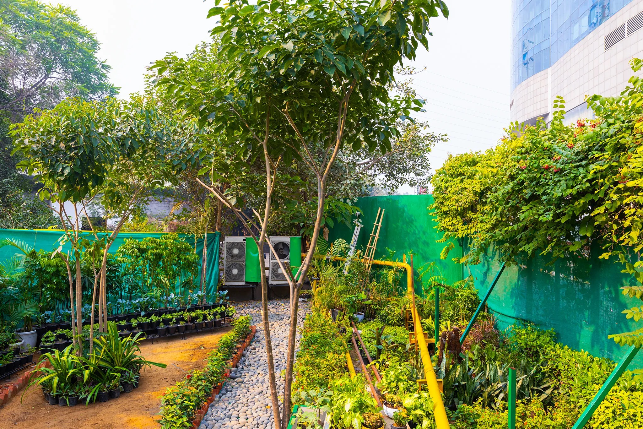 Leela Nursery