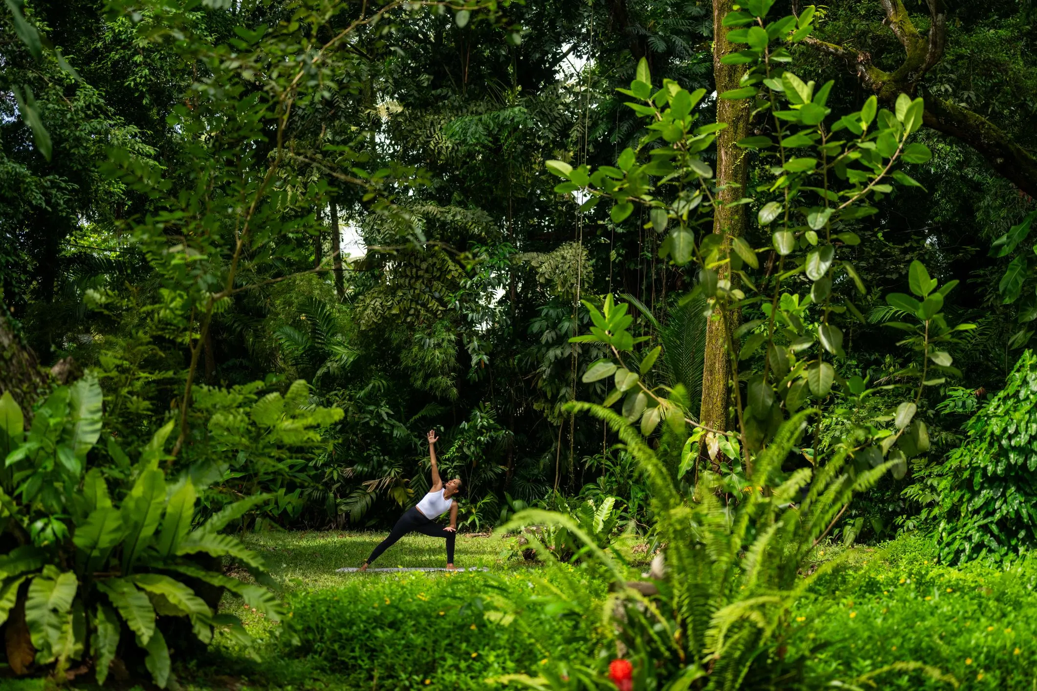 Sri Lanka (1)