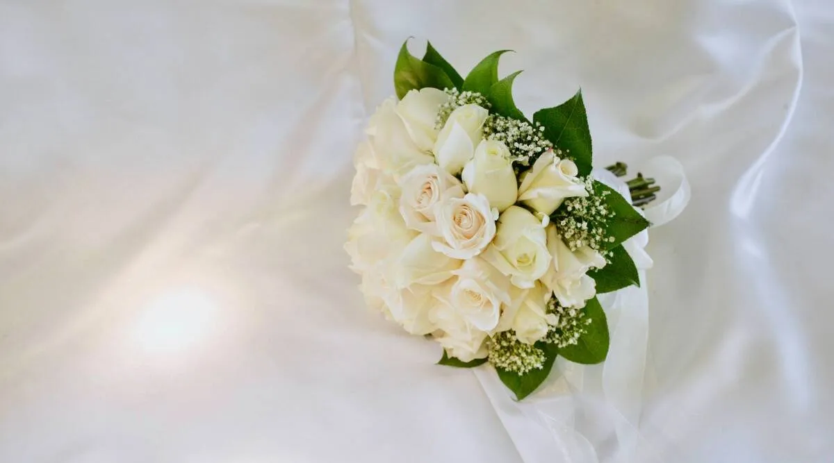 Rose Day | News Gujarati