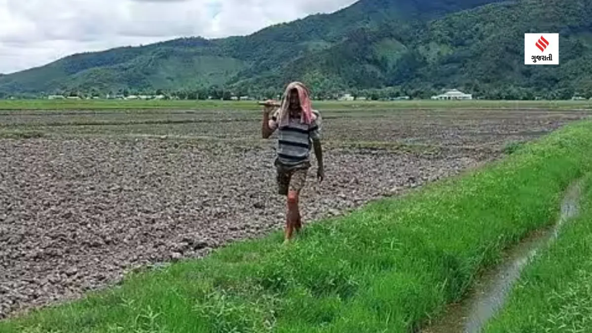 Manipur | Manipur News Gujarati | Manipur Violence | Rice Farming