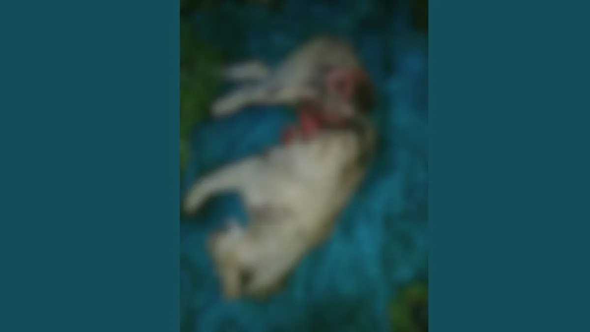 lion death train accident amreli