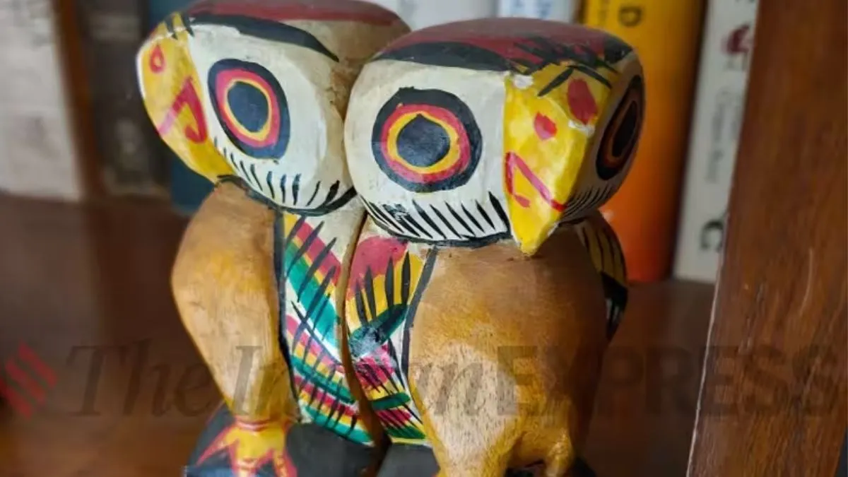 Samsung Galaxy Z Fold5 review(Image credit: (Nandagopal Rajan/The Indian Express)