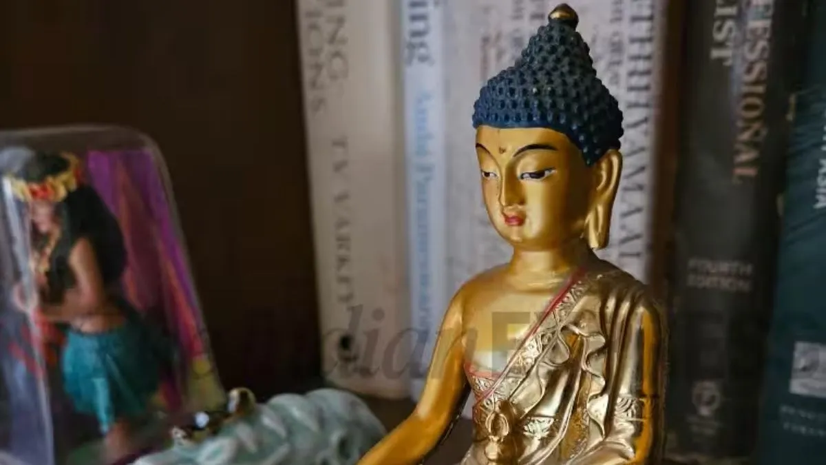 Samsung Galaxy Z Fold5 review(Image credit: (Nandagopal Rajan/The Indian Express)