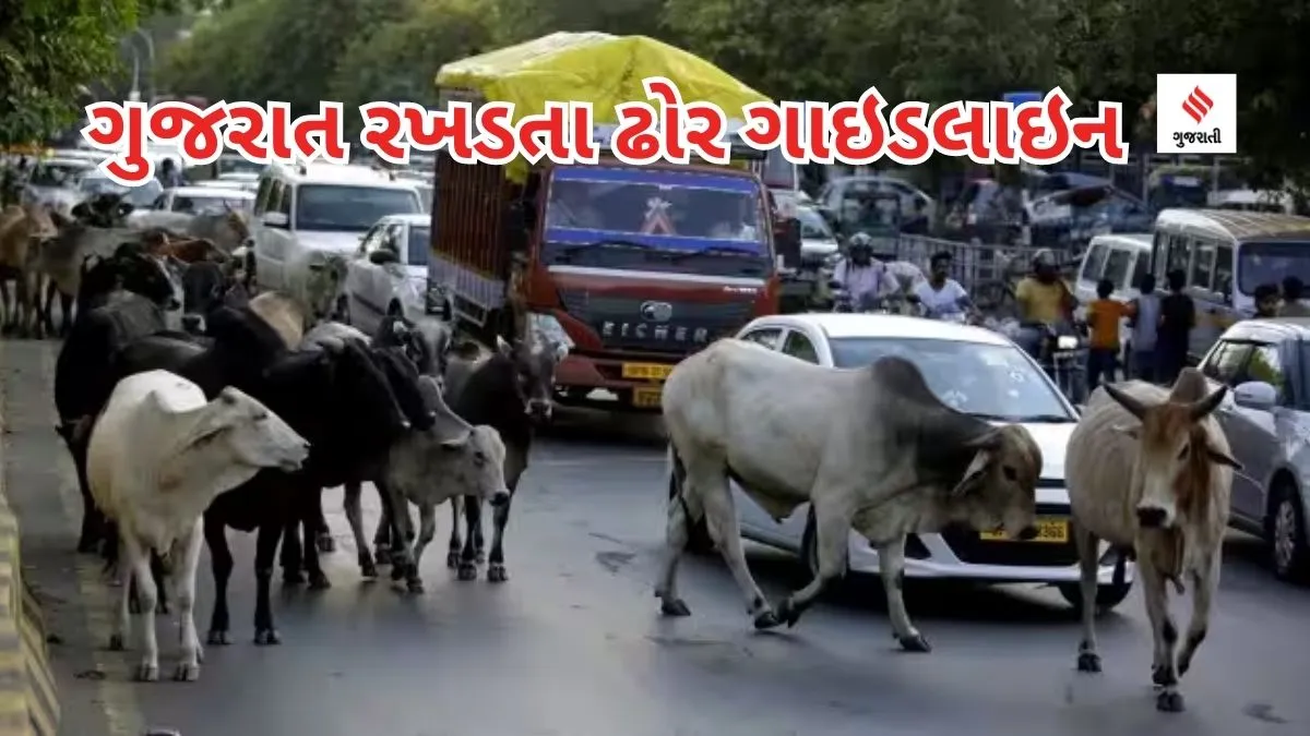 Stray Sattle rules | Gujarat Government Stray Cattle Guidelines | Gujarat Government | Stray Cattle Guidelines | Cow Stray | Cow on Road