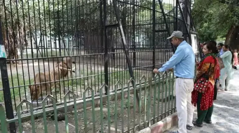 Junagadh Sakkarbaug Zoo