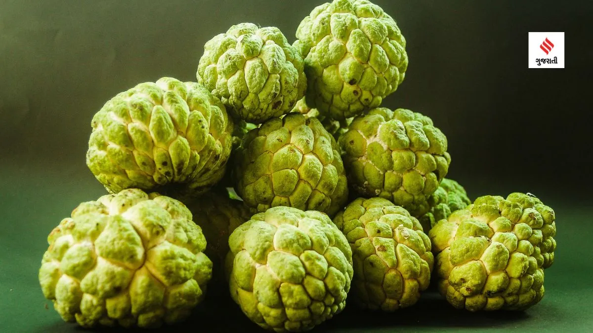 custard apple | custard apple health benefits | sitafal benefits | baba ramdev heatlh tips | baba-ramdev custard apple benefits | custard apple heatlh tips
