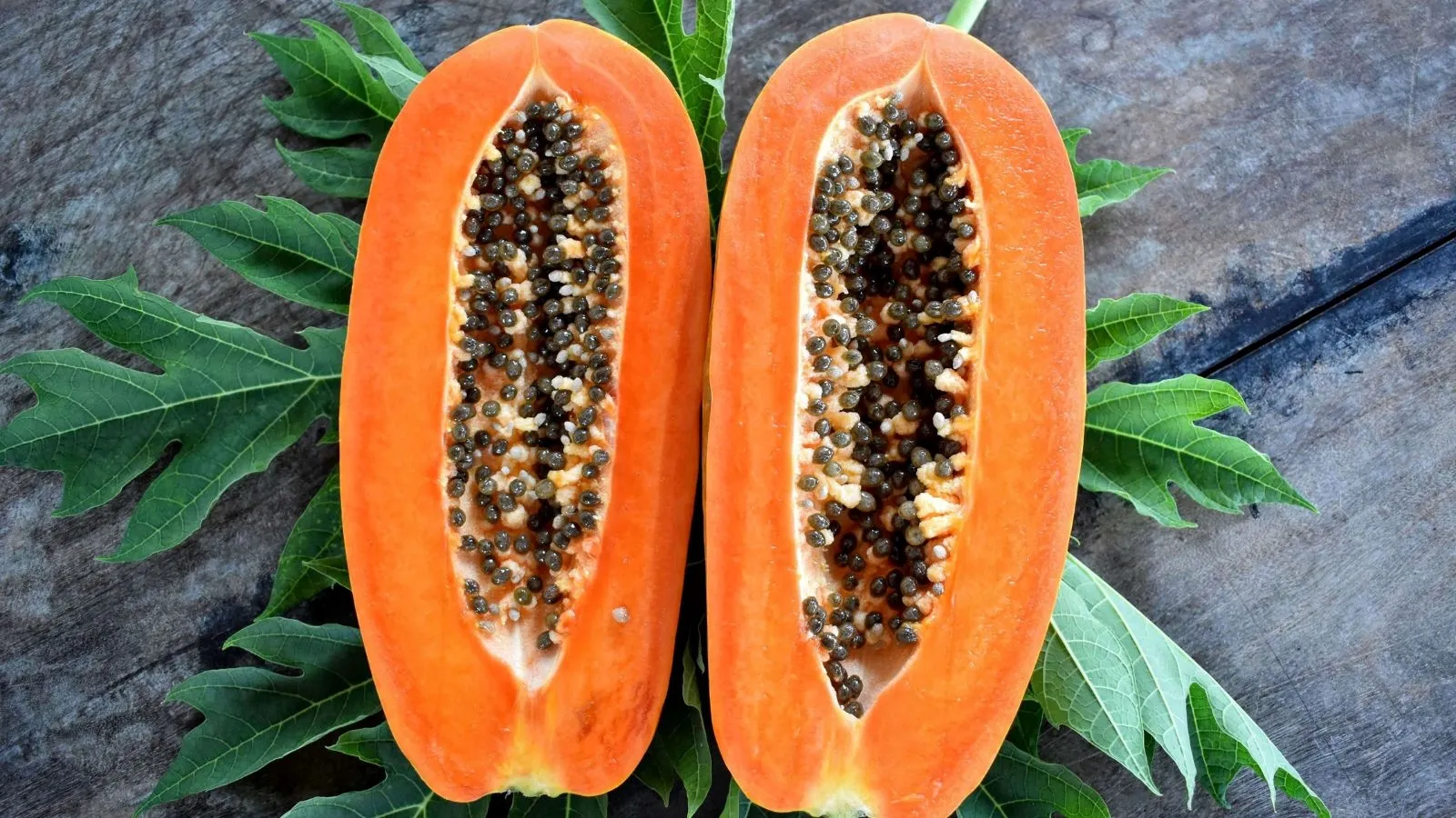papaya nutrition value | benefits of eating papaya | right time to eat papaya | disadvantages of eating papaya | nutrients of papaya