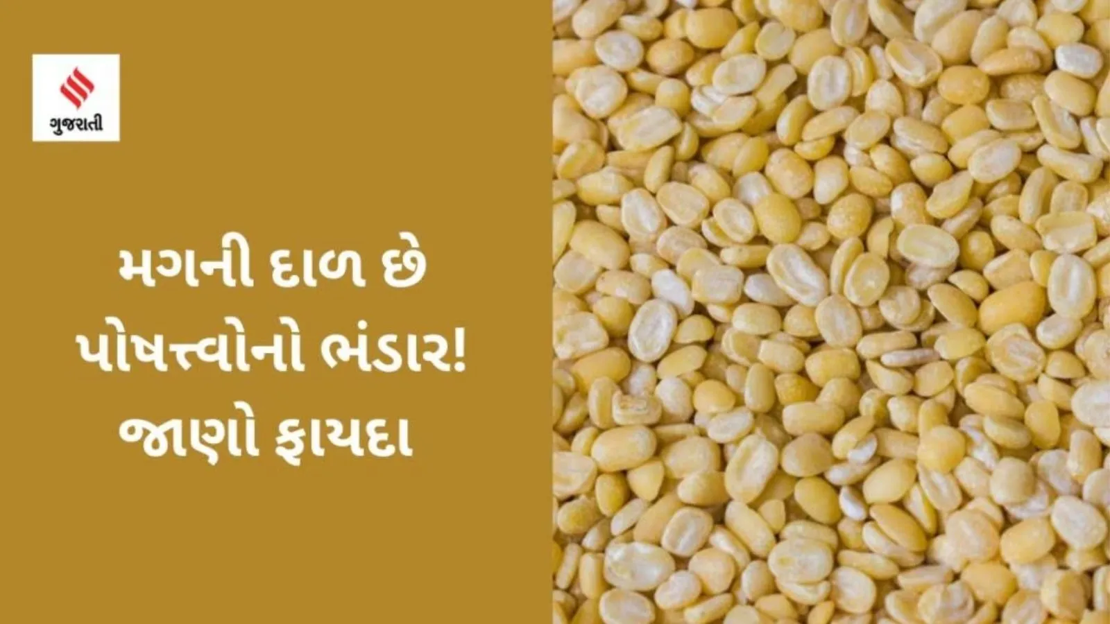 Diabetes Diet moong dal health tips gujarati news