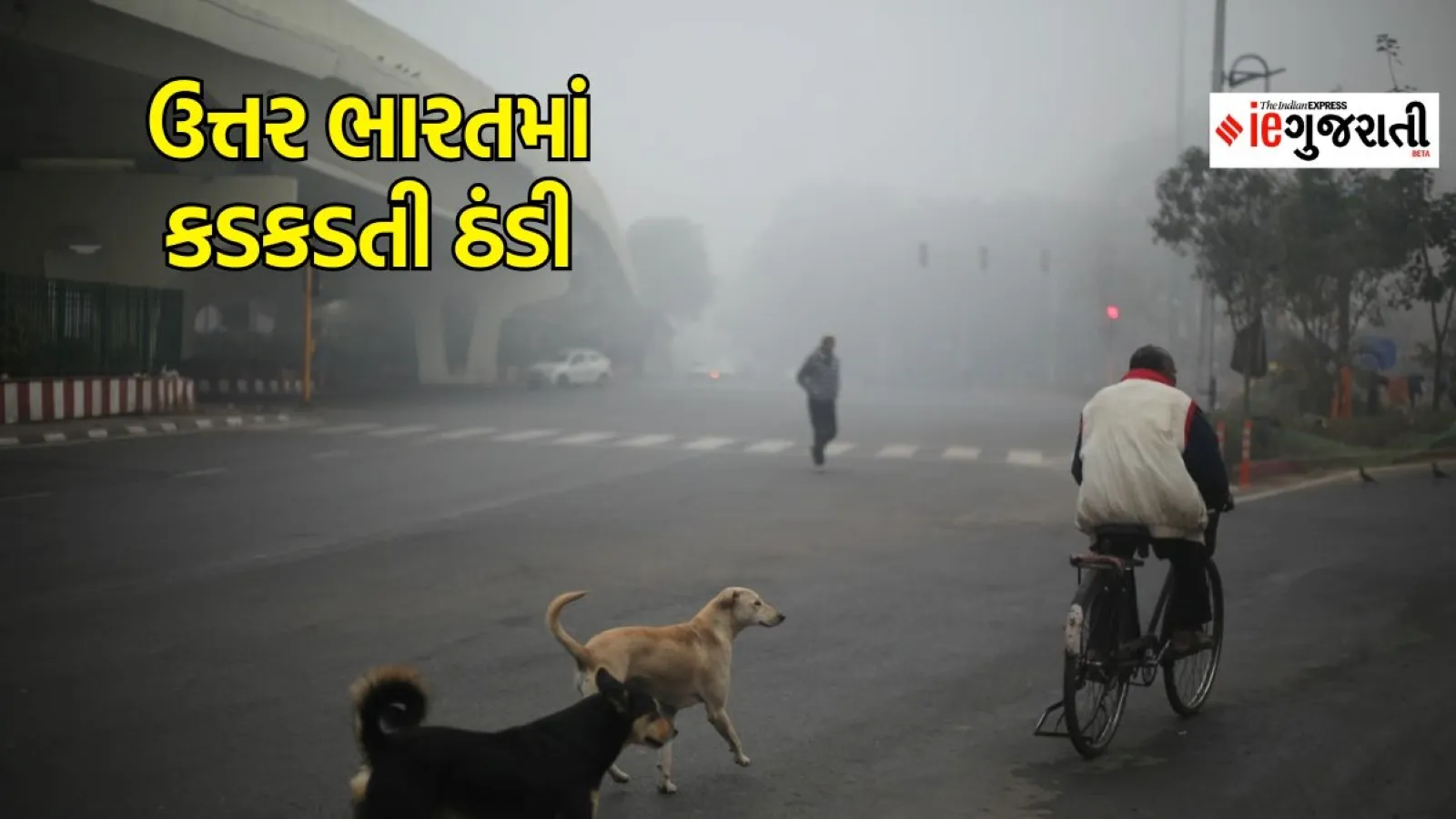 North India weather, winter news, weather news, IMD forecast