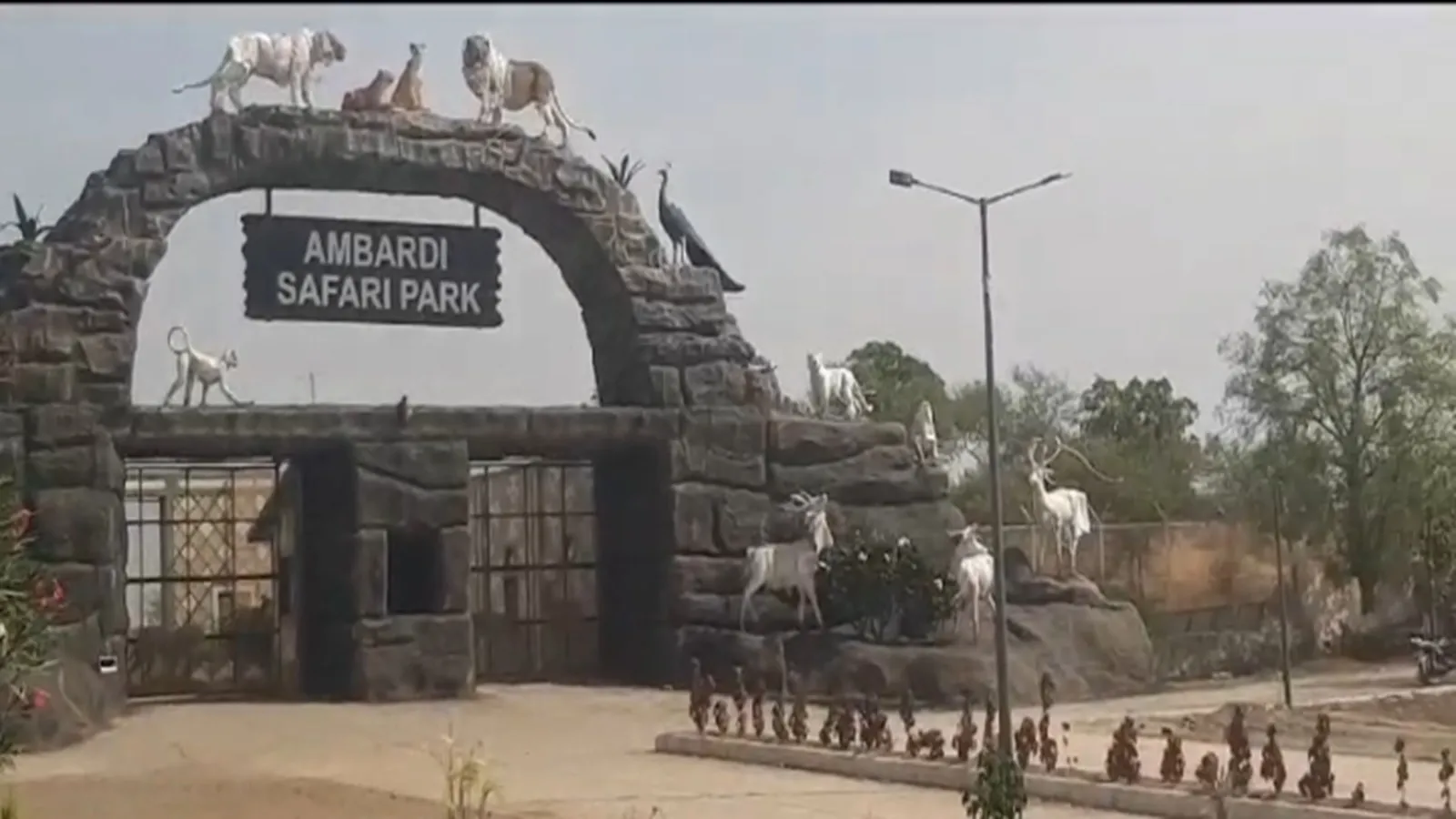 ambardi sfari park, amreli news, gujarati news