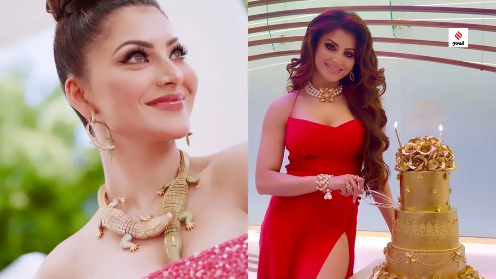 Urvashi Rautela birthday celebration yo yo honey singh gujarati news